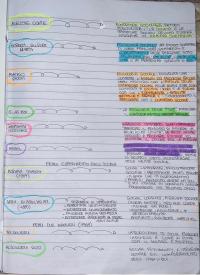 Riassunto/schema di Psicologia Sociale