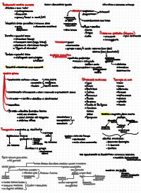 mappe concettuali storia della musica