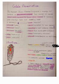 La Cellula Procariotica e La Crescita Microbica.