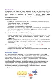 Elementi di Biologia