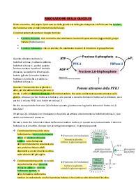 BIOCHIMICA--->FREMMENTAZIONE LATTICA, FATICA E LATTATO, GLUCONEOGENESI, REAZIONE DELLA GLUCONEOGENESI