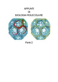 Appunti di biologia molecolare: dal traffico vescicolare all'autofagia (Parte 2)