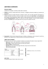 Dispense di ANATOMIA COMPARATA dei vertebrati