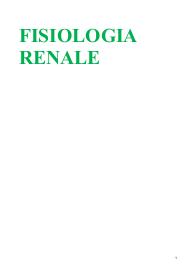 Appunti di Fisiologia Renale
