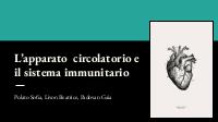 apparato circolatorio e sistema immunitario