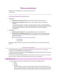 Neuroanatomia appunti 2025