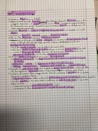 Appunti di Filosofia 4