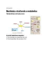 Appunti/Dispense Biochimica 9.0 "METABOLISMO DEL GLUCOSIO"