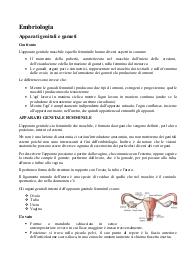 Appunti completi di Embriologia