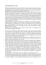 Organizzazione del DNA