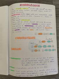 Le Biomolecole