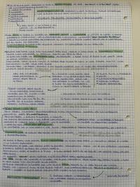 ATTIVISMO PEDAGOGICO (parte2)