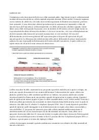 biologia cellulare parte 2/2