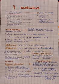 Appunti CARBOIDRATI liceo