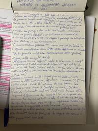 Consiglio delle autonomie locali
