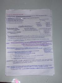 appunti minimi su Fichte