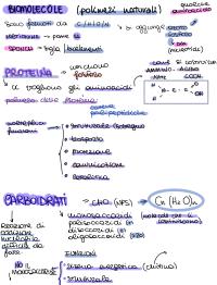 Biomolecole completo