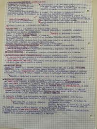 COMUNICAZIONE E SOCIETÀ DI MASSA (parte4)