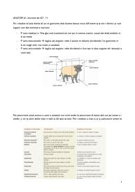 anatomia del sistema scheletrico umano e animale