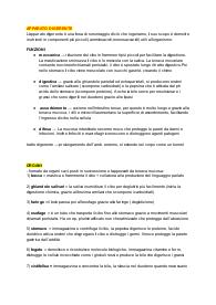 Appunti SISTEMA DIGERENTE