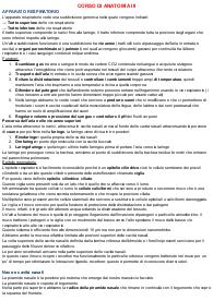 appunti di anatomia 3