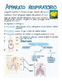 Apparato respiratorio riassunto